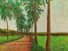 Village Road palms